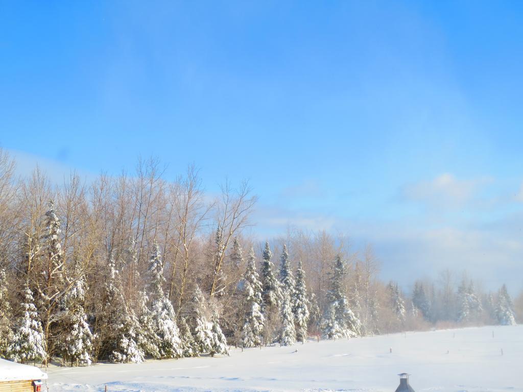 Le Gite Ambrelane 3* Thetford Mines